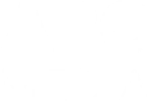 APC Media