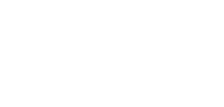 The Political Observer